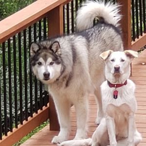 Meet your Posher, Helen